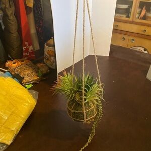 Hanging faux succulents